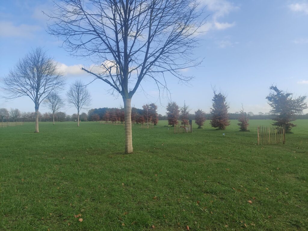 Camping Plaats Zijkant