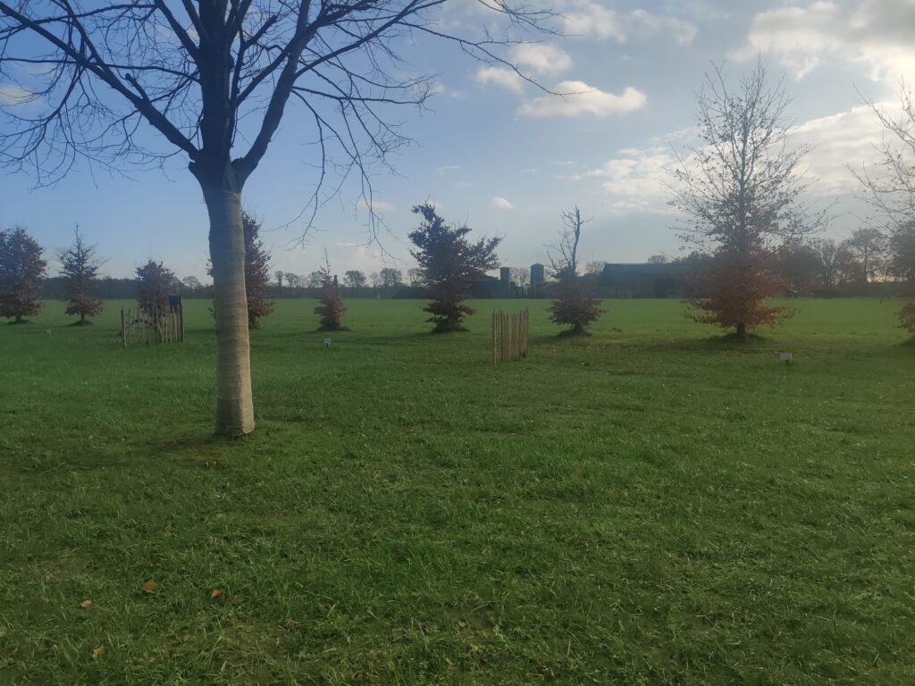 Minicamping Staplaats