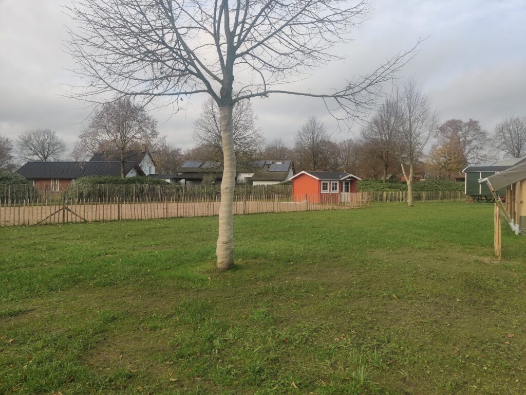 Minicamping Parkeerplaats